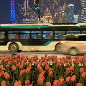 🈲🈲母狗淫水
